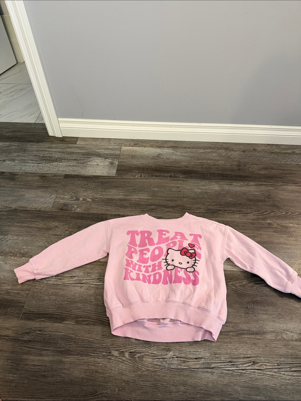 Hello Kitty Light Pink Pullover with Green Logo